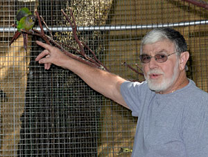 Mike Robinson approaches a green cheek conure. Photo by Richard DuPertuis, Mt. Shasta News.