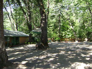 Outdoor area and ample parking at Cedar Lodge Motel